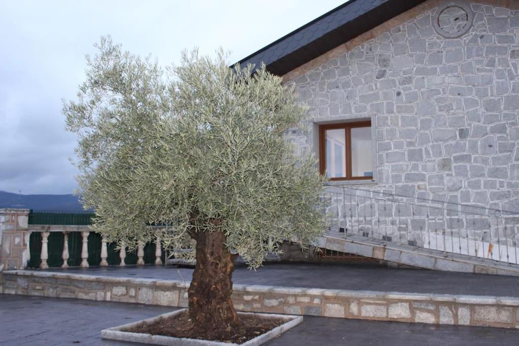 Casa Con Vistas A La Sierra De Casa de vacances Guadarrama